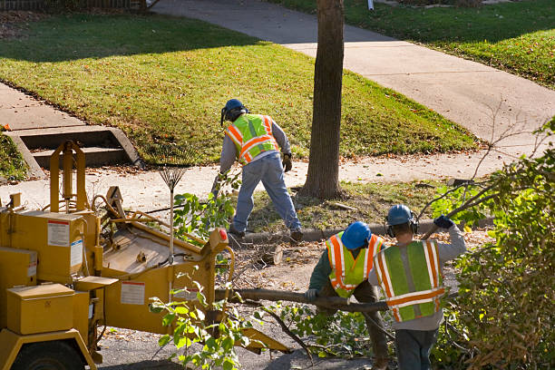 Lawn Drainage Solutions in San Augustine, TX